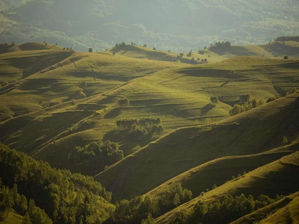 Raven's Nest - The Hidden Village in Transylvania Sub Piatră – Sub Piatră, România