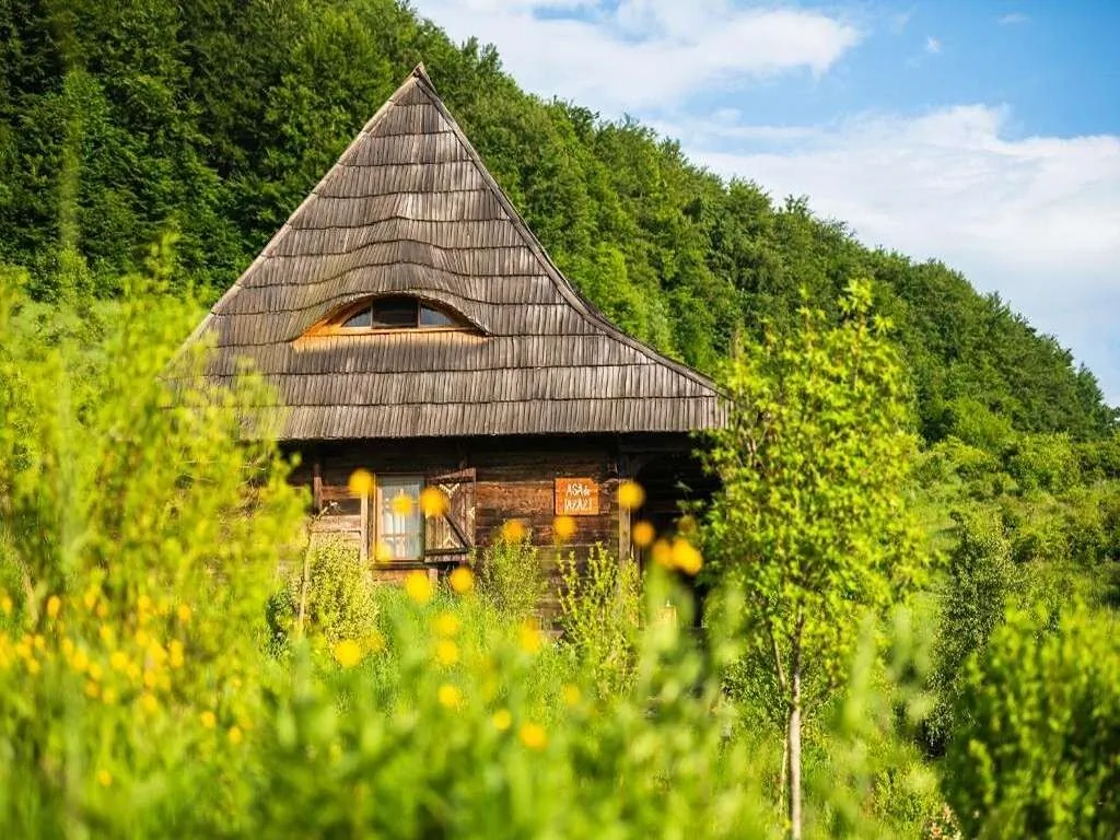 Raven's Nest - The Hidden Village in Transylvania Sub Piatră – Sub Piatră, România