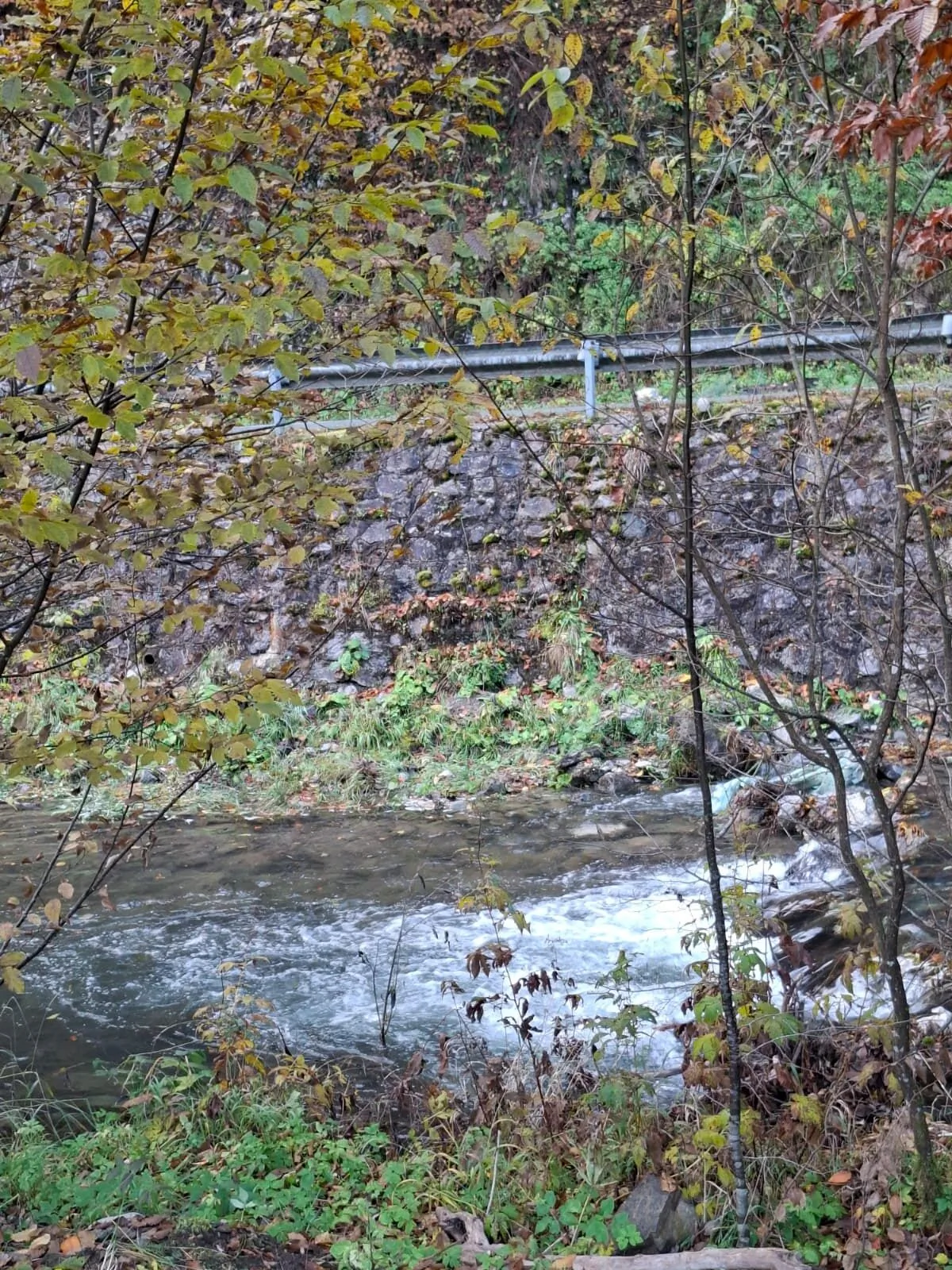 Escape Remeți - A Frame by the River Remeţi – Remeţi, România
