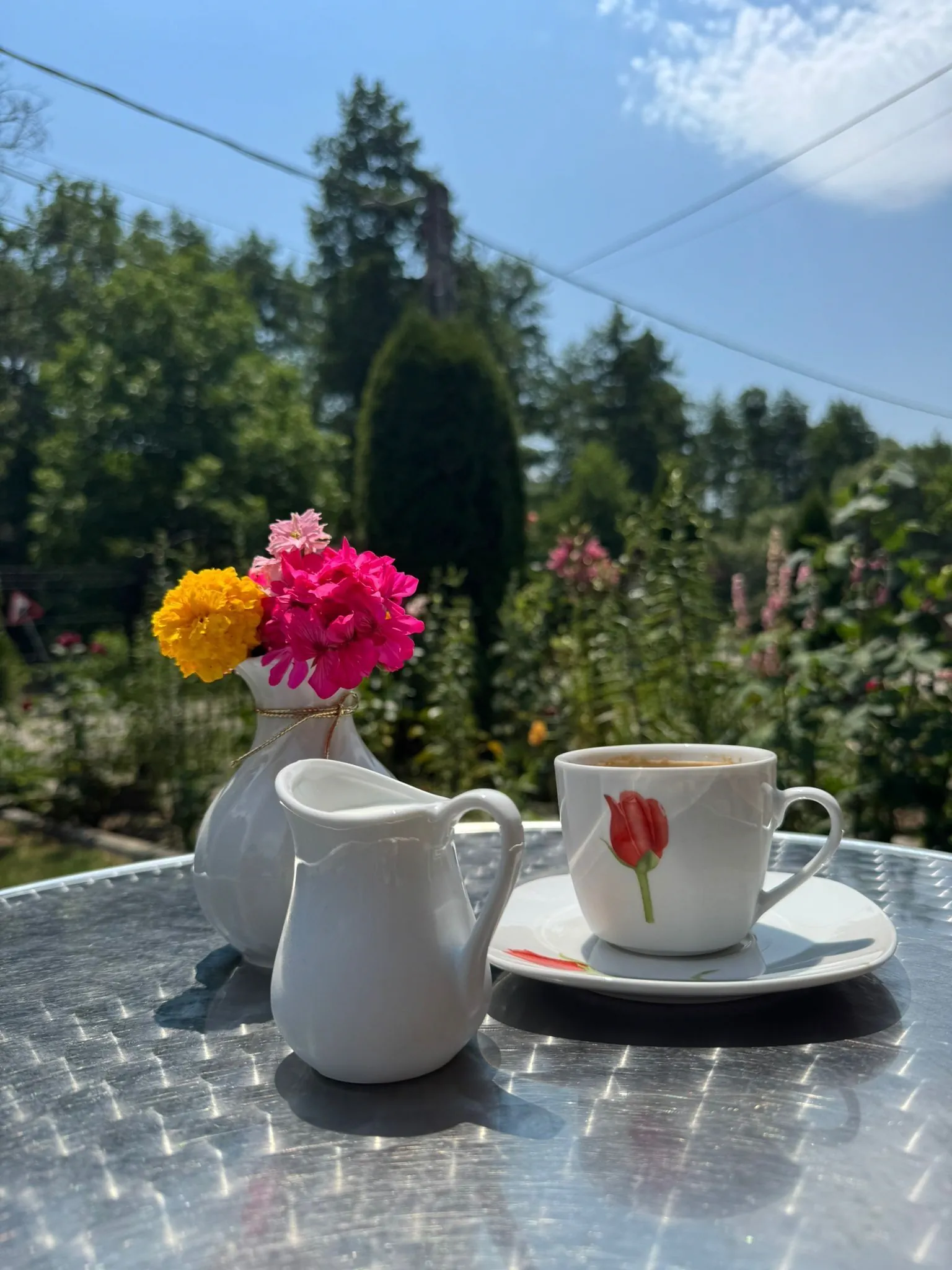 Pensiunea Bucuria Evei Curtea de Argeș – Curtea de Argeș, România