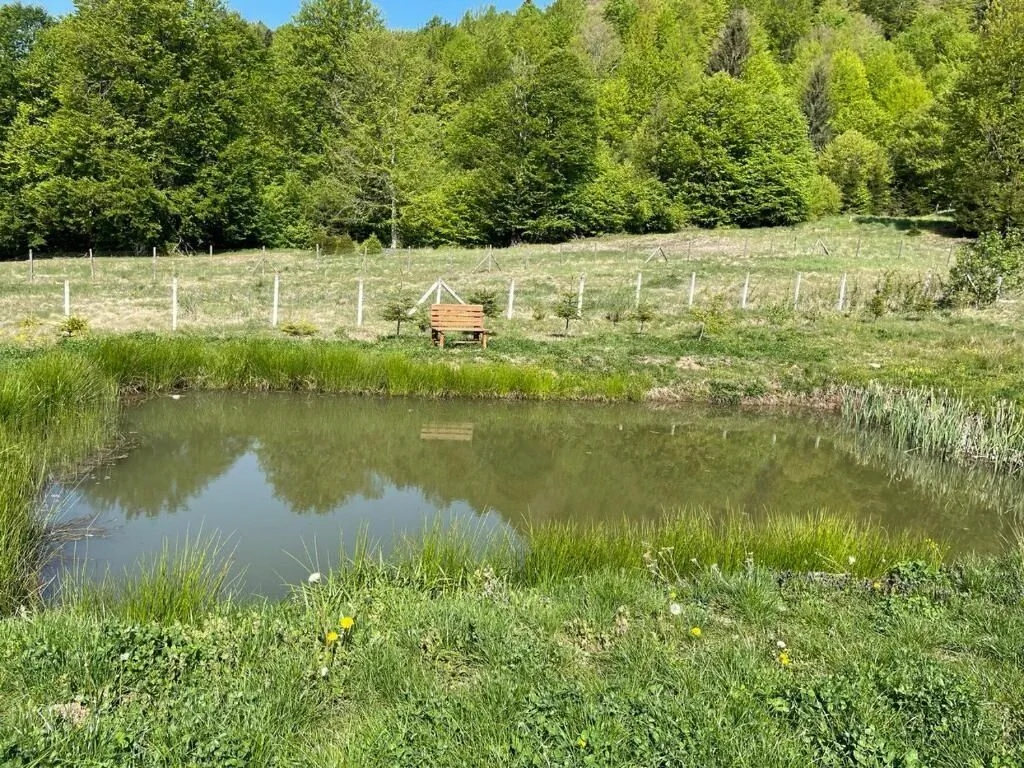 Cabana Turistică Izvorul Muntelui Budacu de Sus – Budacu de Sus, România