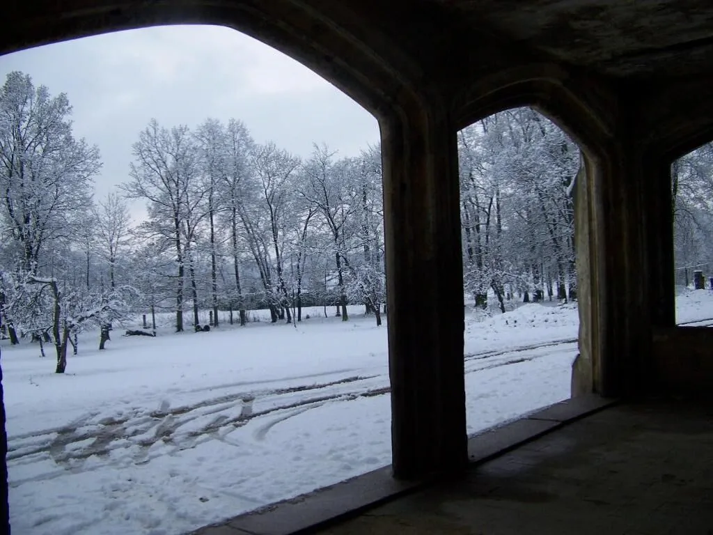 Pałac Dąbrowica Jelenia Góra - foto 5