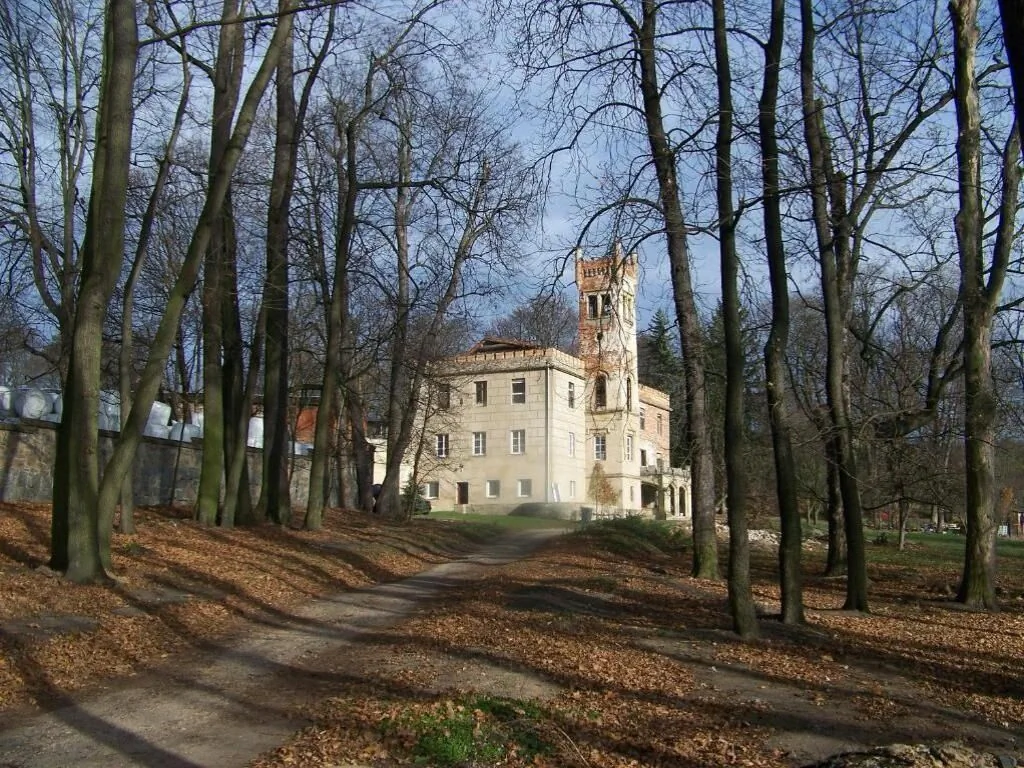 Pałac Dąbrowica Jelenia Góra - foto 7