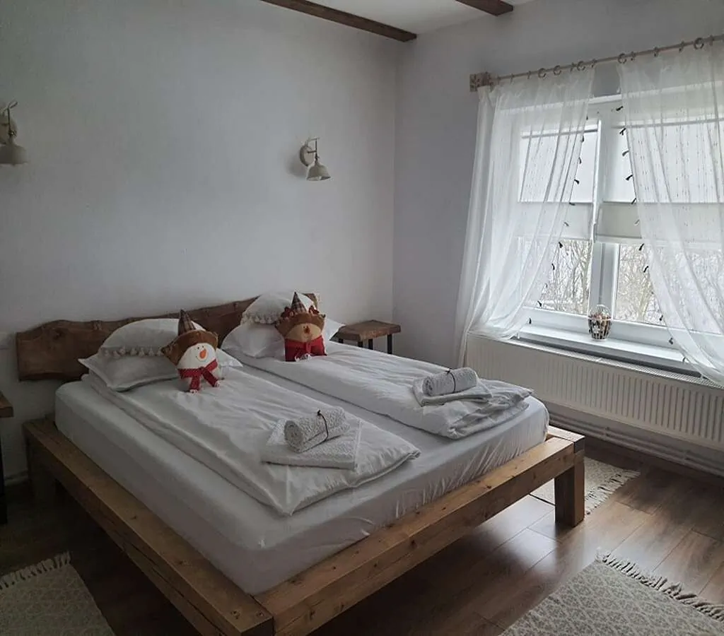 Casa de oaspeți Roua Land Vulcan - foto 3