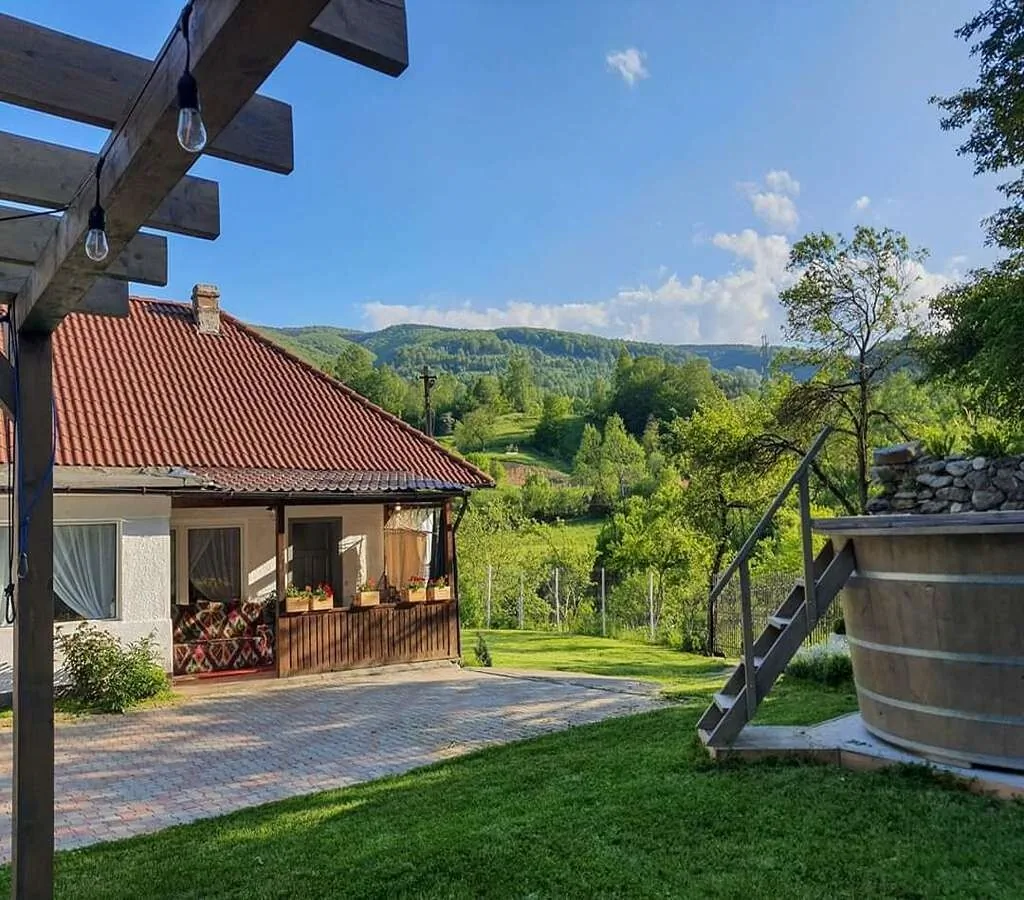 Casa de oaspeți Roua Land Vulcan - foto 1