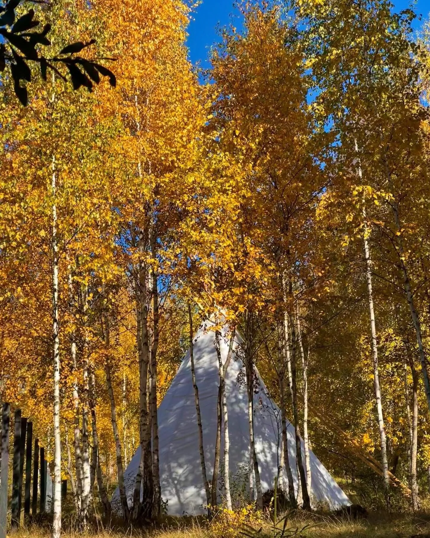 Tipi Village at Bonair Călăţele – Călăţele, România
