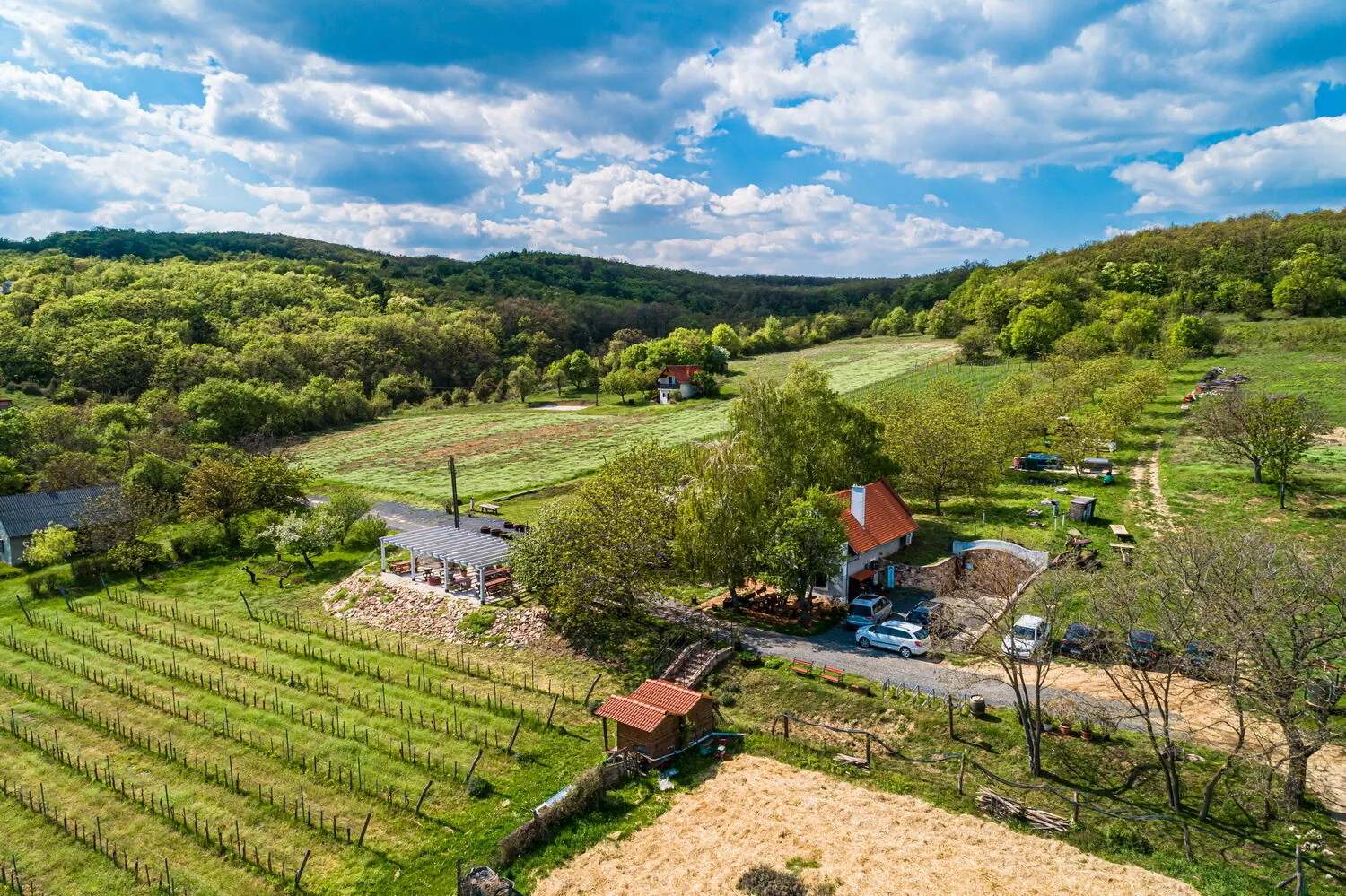 Tagyon Birtok Tulipán Apartmanház Tagyonhegy – Tagyonhegy, Ungaria