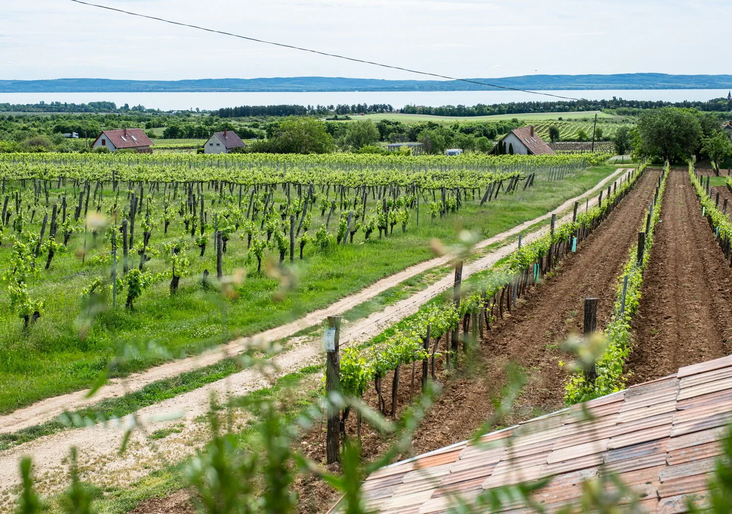 Tagyon Birtok Tulipán Apartmanház Tagyonhegy – Tagyonhegy, Ungaria