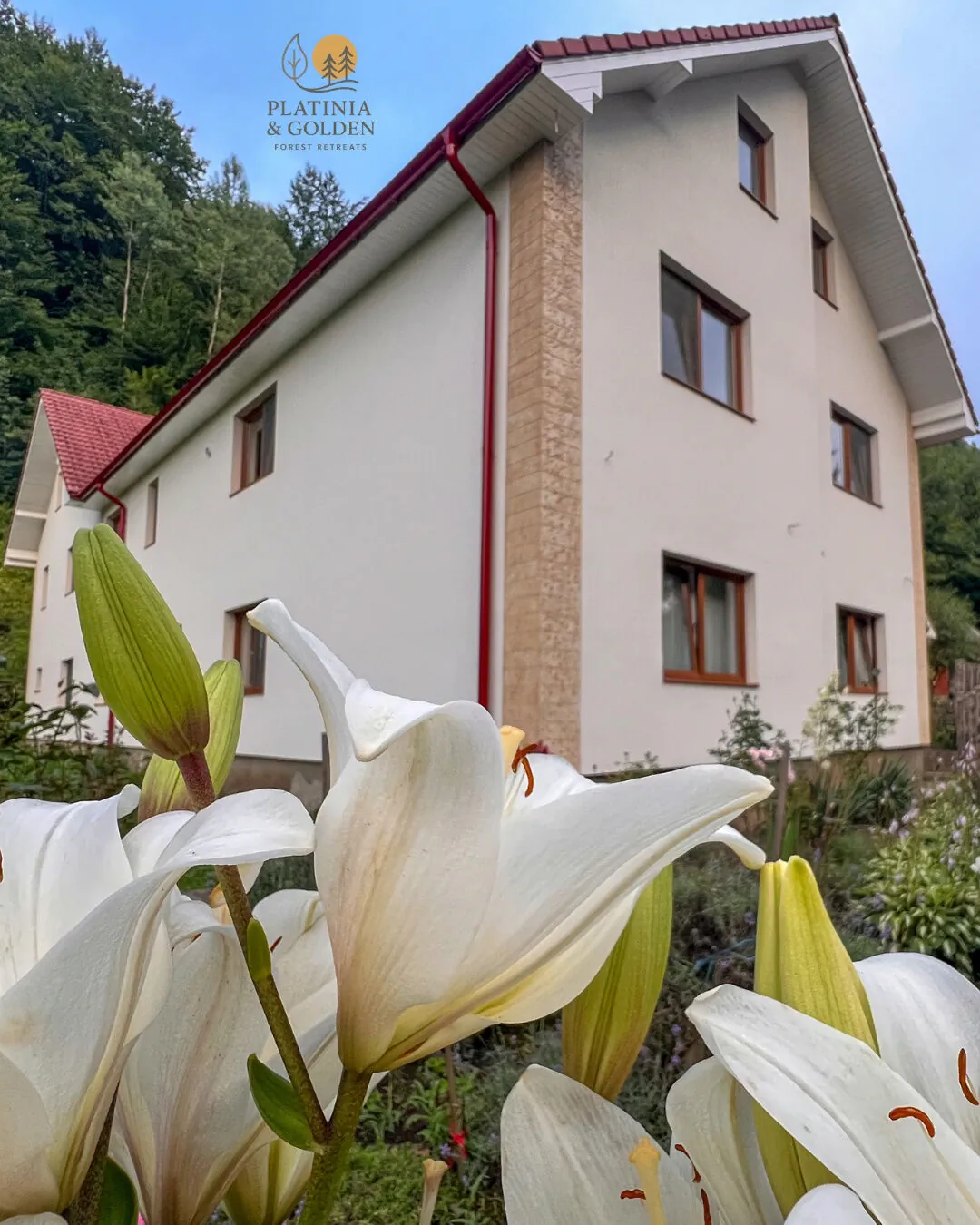 Golden Forest Retreat Iod – Iod, România
