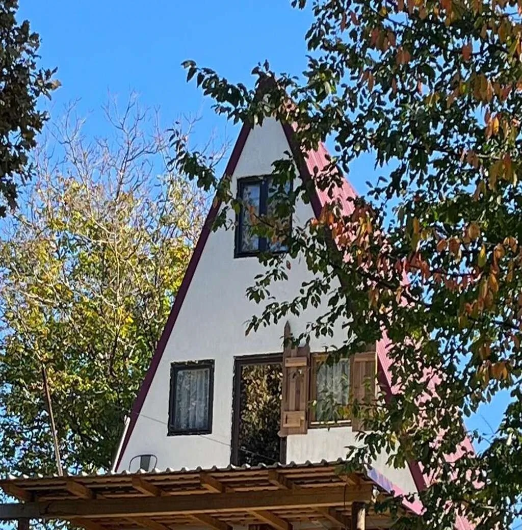 Cabana Crângul Verde Poienari - foto 2