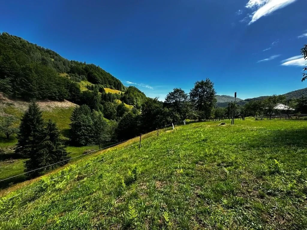 Casa Sufletului Avram Iancu – Avram Iancu, România