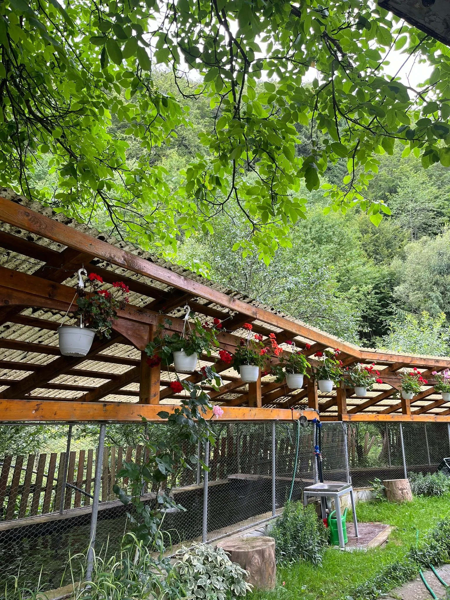 Casa Izvorul Rece Avram Iancu – Avram Iancu, România
