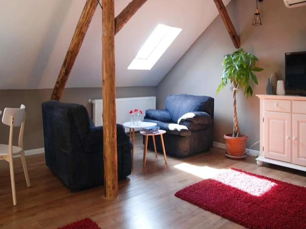 Apartment House Timișoara – Timișoara, România