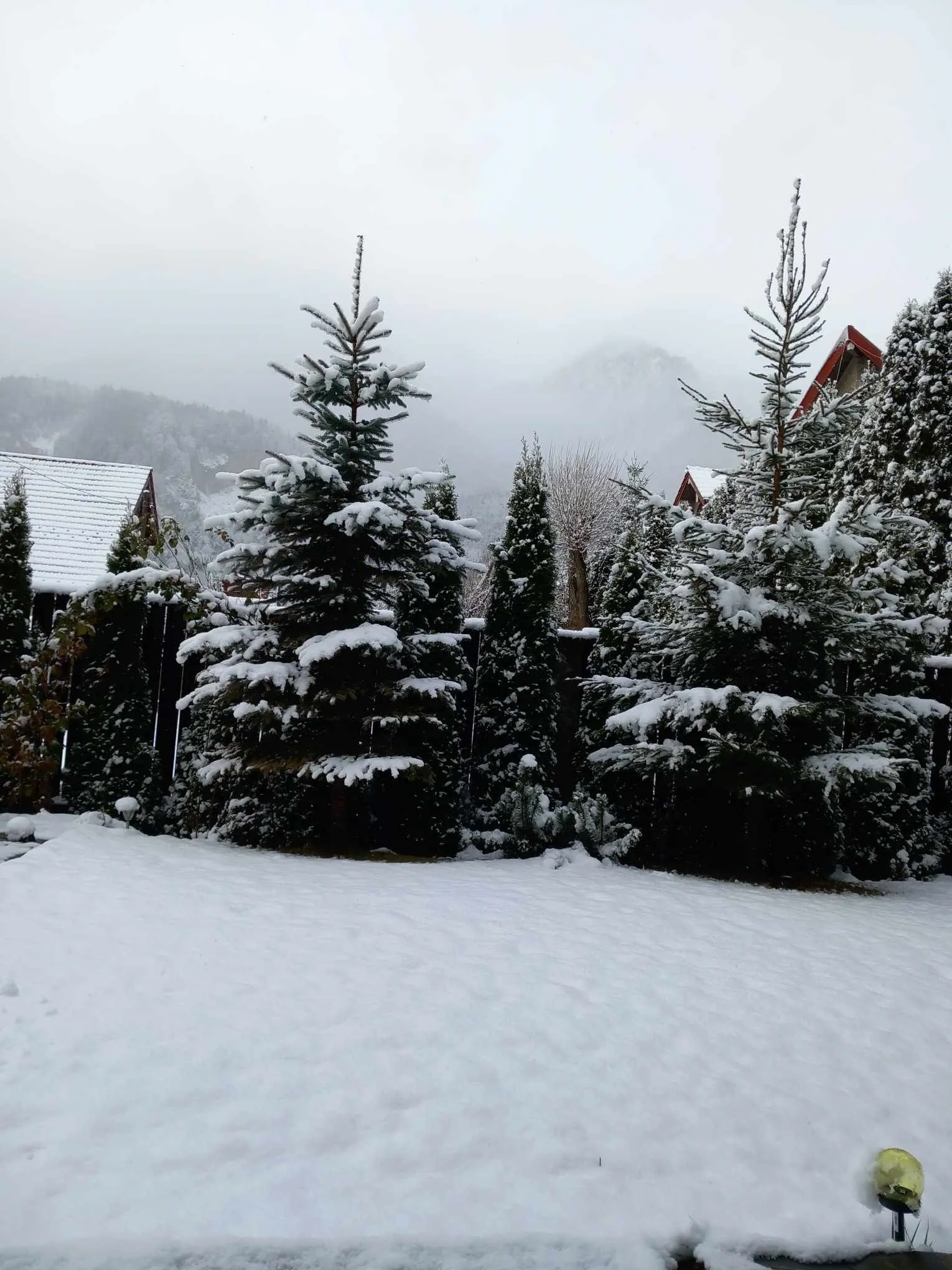 Vila Miro Monte Bușteni – Buşteni, Rumunia