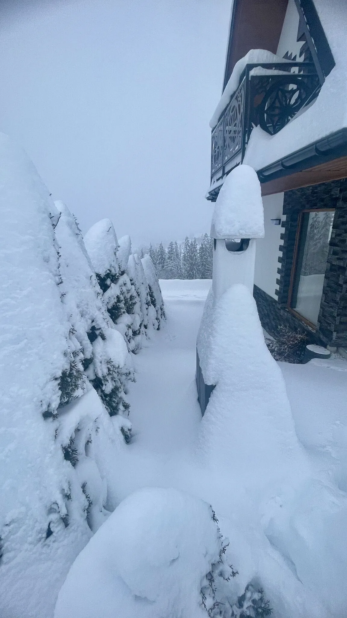 Góralski Reset – Gliczarów Górny, Polonia