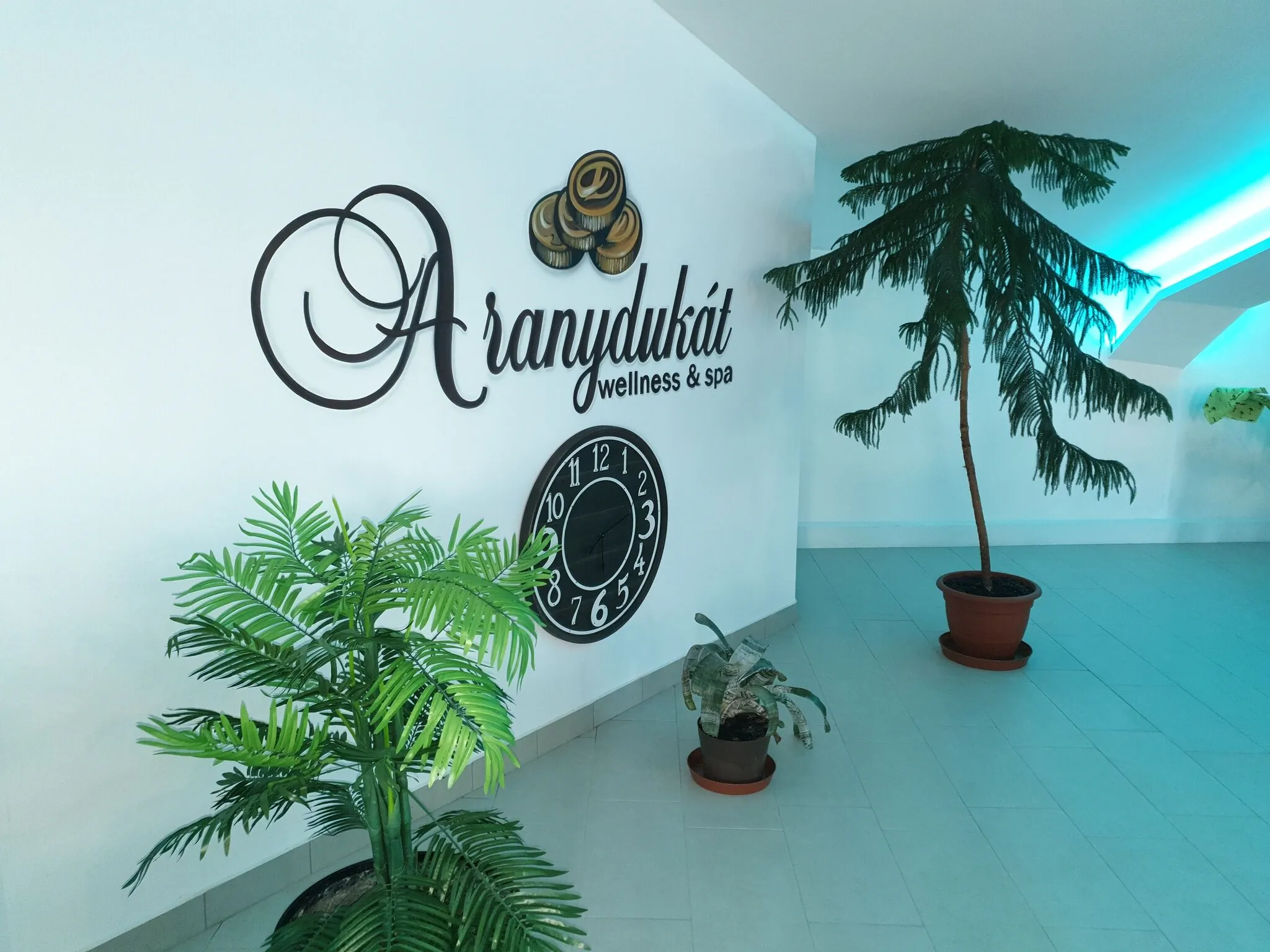 Aranydukát Vendégház Tállya – Tállya, Ungaria
