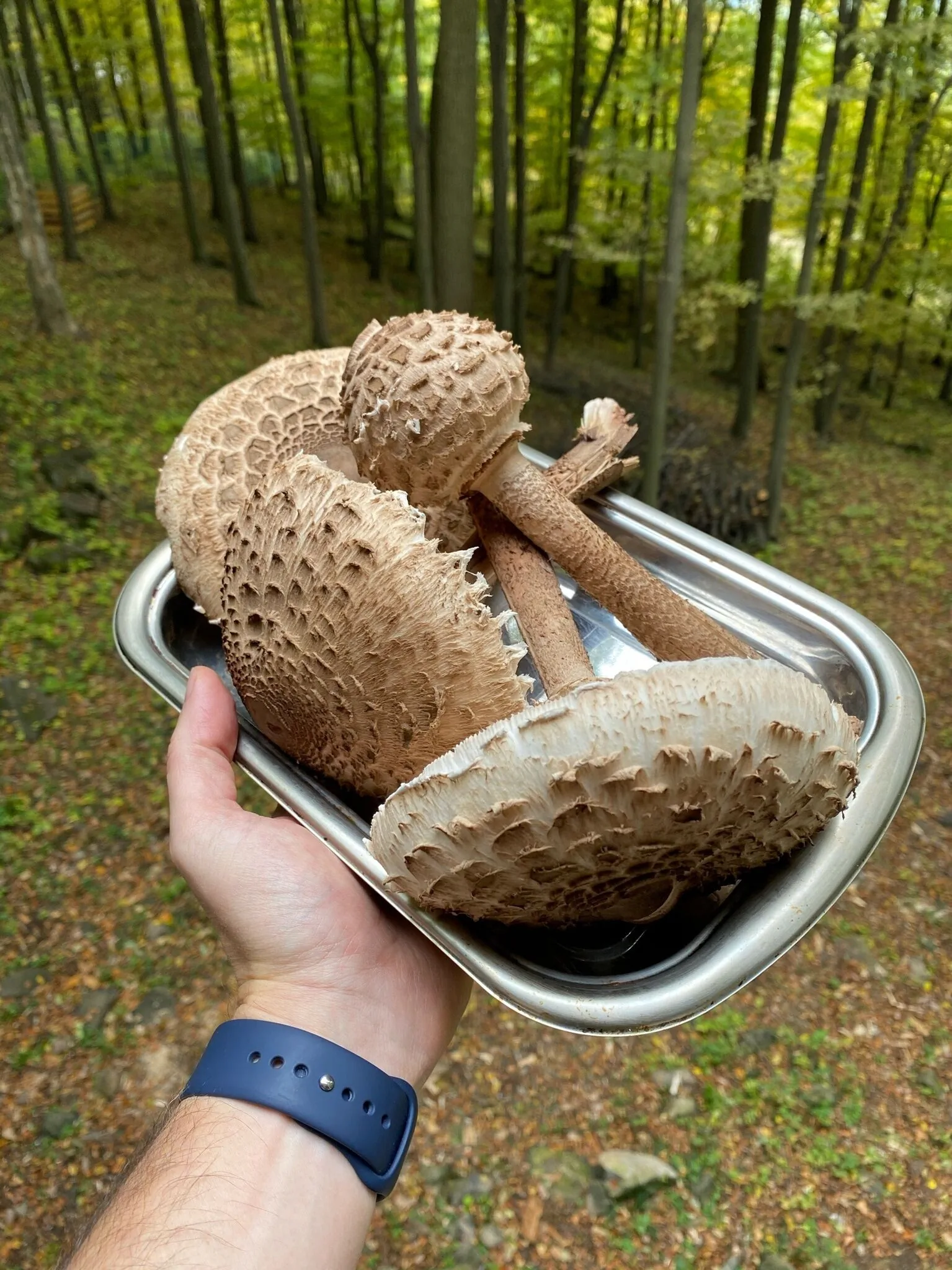 Sziklás Mátra Vendégház Mátraszentimre – Mátraszentimre, Maďarsko