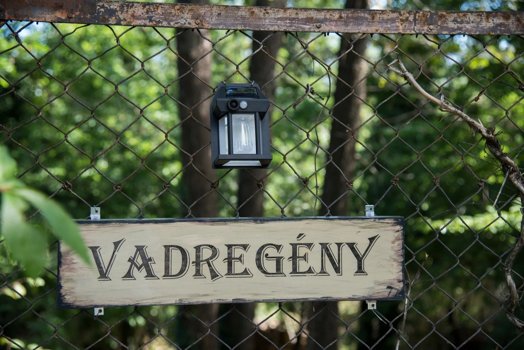Vadregény Vendégház Gödöllő – Gödöllő, Ungaria