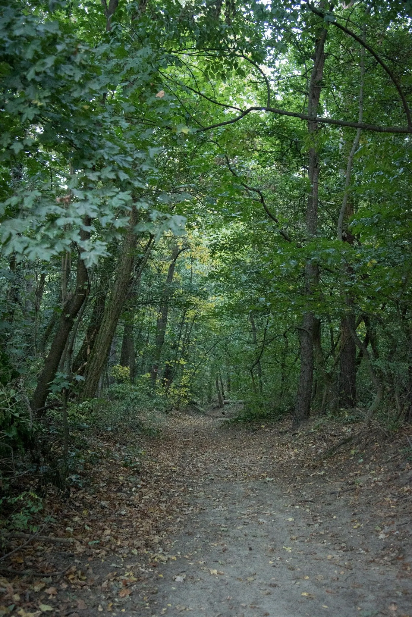 Vadregény Vendégház Gödöllő – Gödöllő, Ungaria