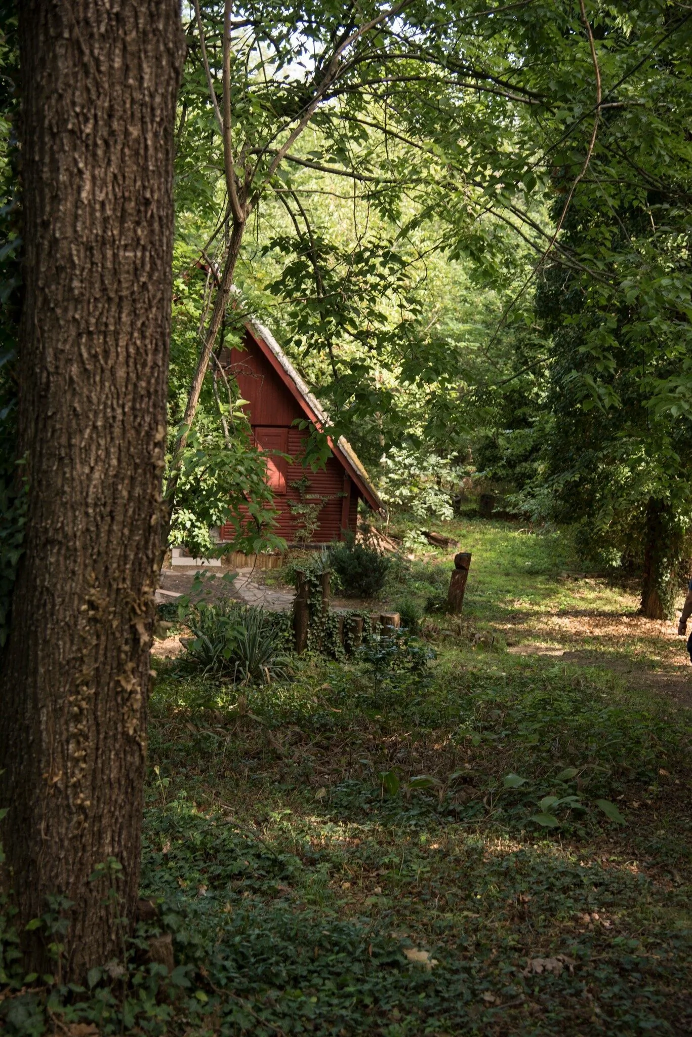 Vadregény Vendégház Gödöllő – Gödöllő, Ungaria