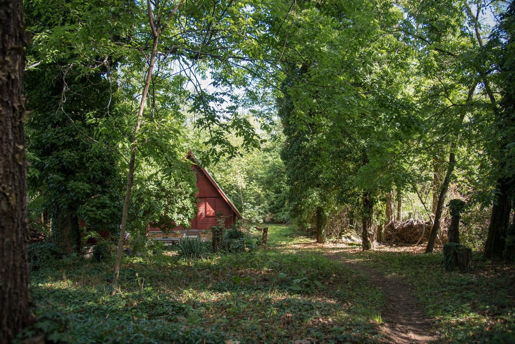 Vadregény Vendégház Gödöllő – Gödöllő, Ungaria