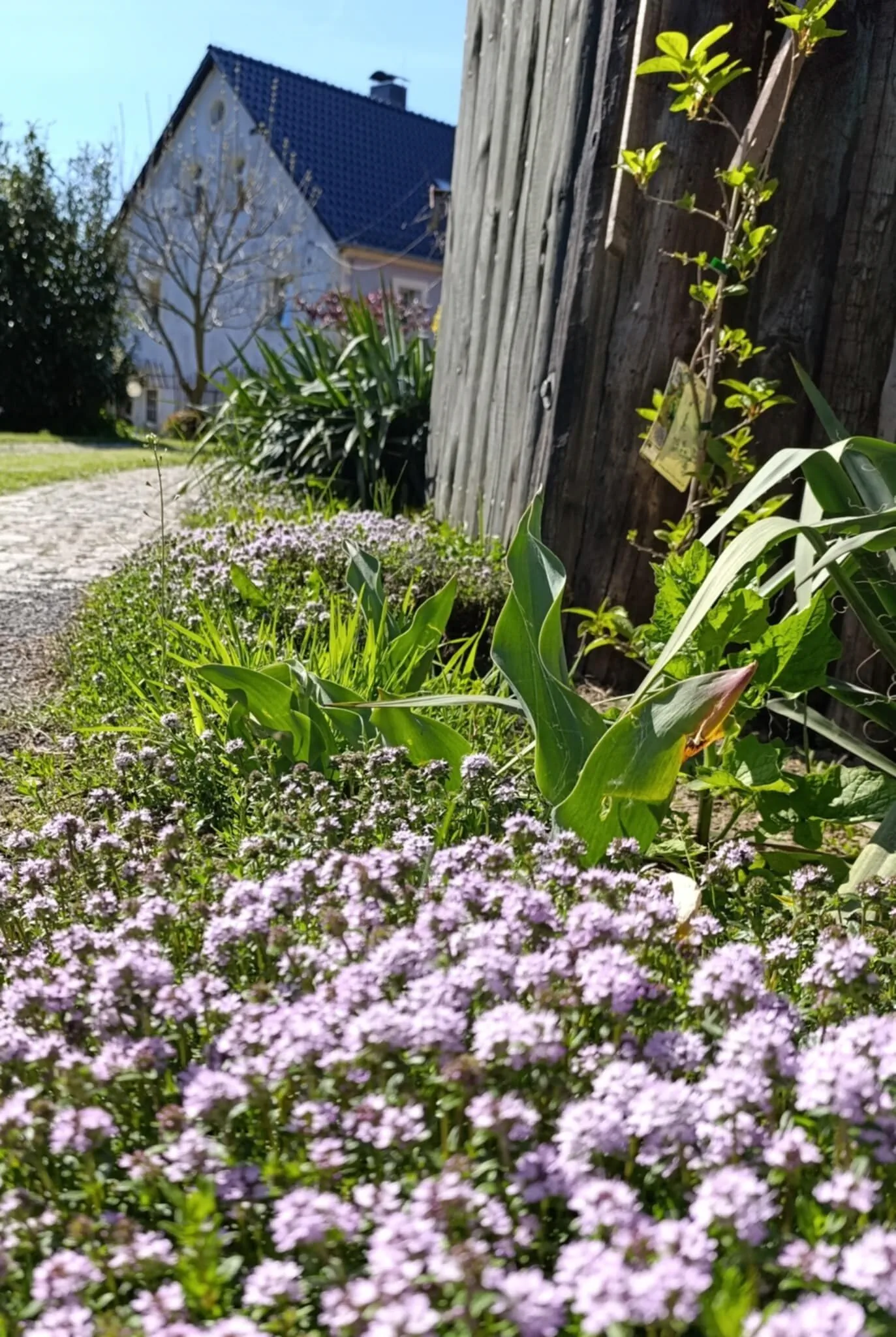 Agroturystyka błogoStany, dawniej Leszczynki Stankowice - foto 6