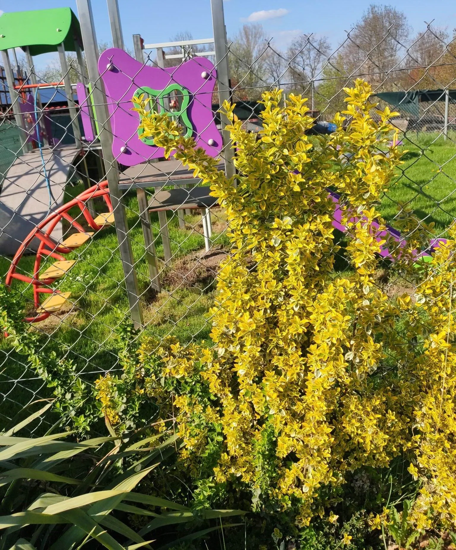 Agroturystyka błogoStany, dawniej Leszczynki Stankowice - foto 8