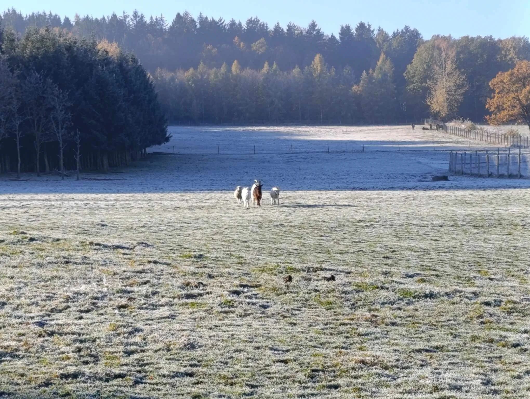 Agroturystyka błogoStany, dawniej Leszczynki Stankowice - foto 10