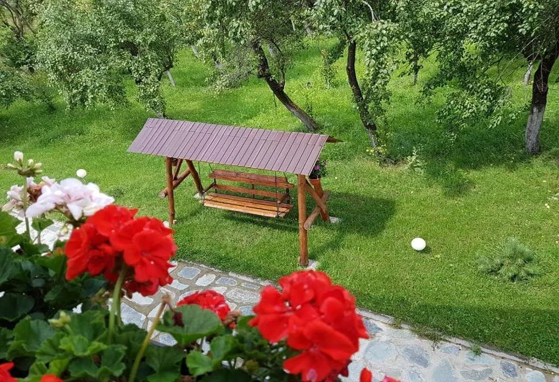 Pensiunea Codruta Crasna – Crasna, România