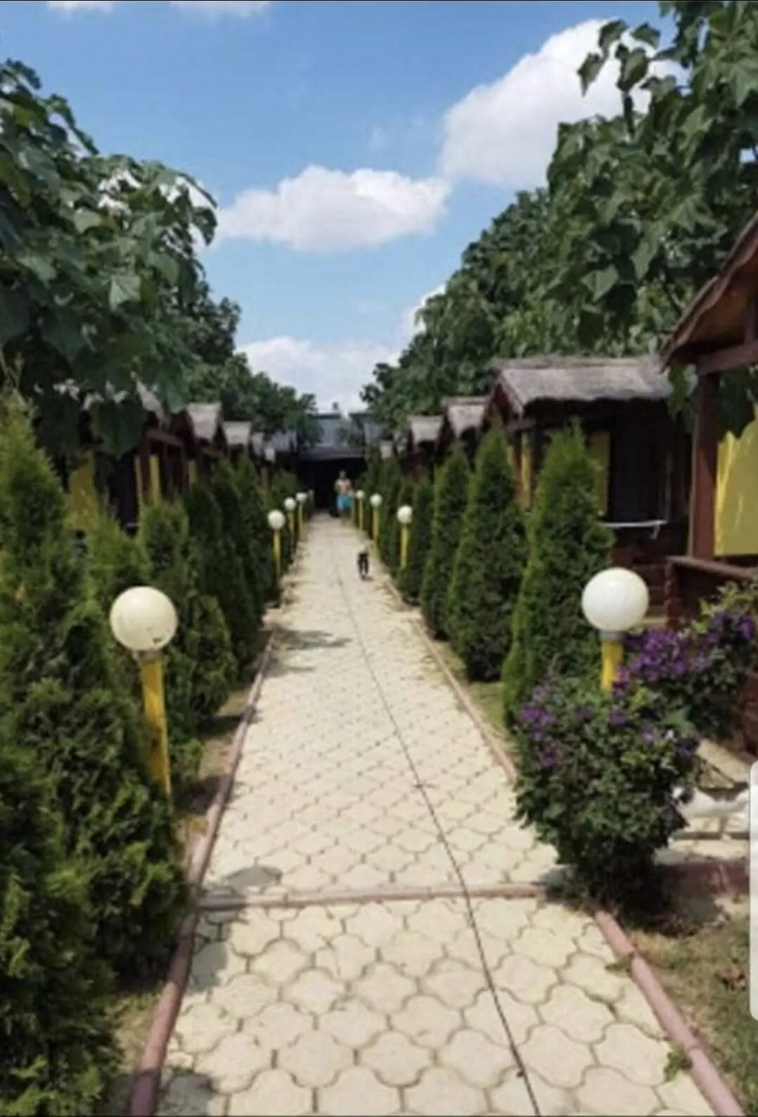 Cazare Balliu Corbu - foto 3