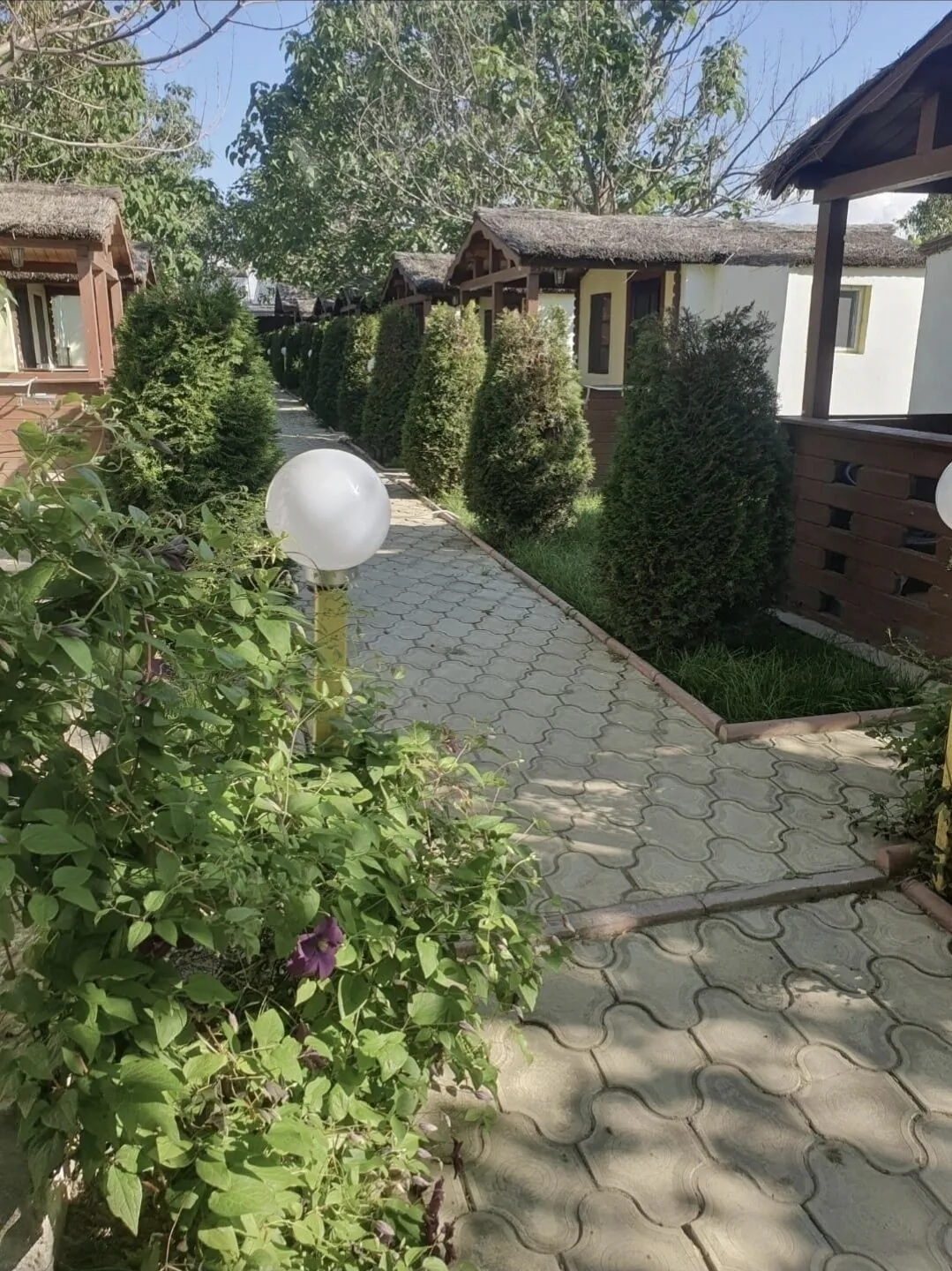 Cazare Balliu Corbu - foto 6