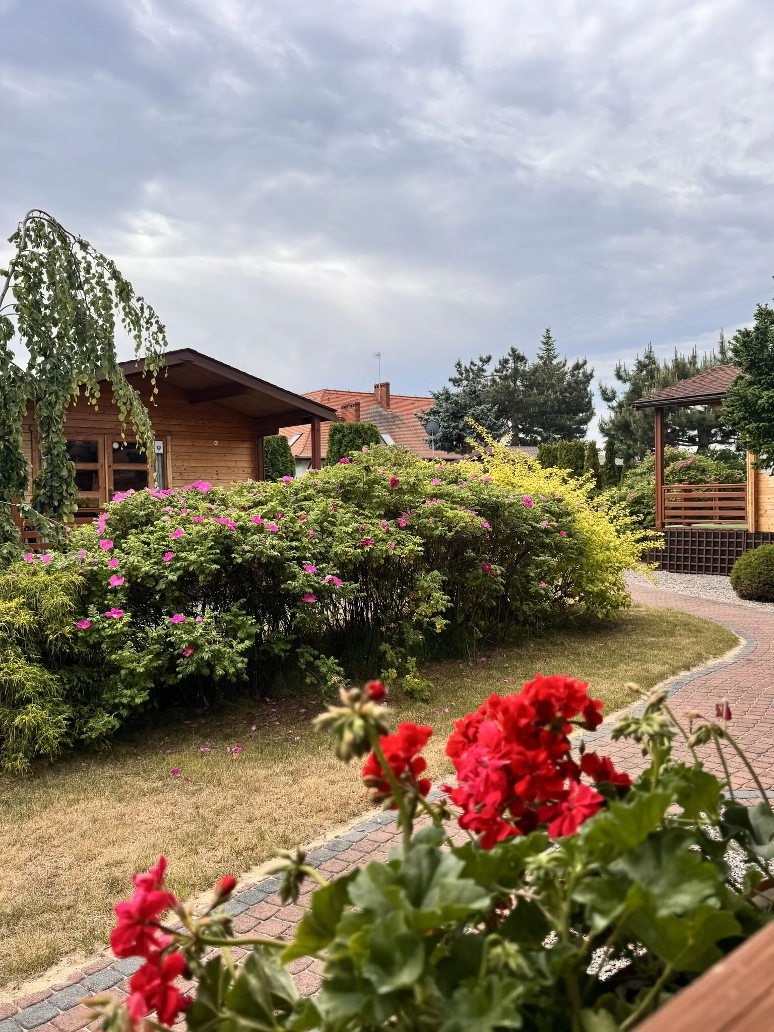 LIDO - domy letniskowe Krynica Morska – Krynica Morska, Polonia
