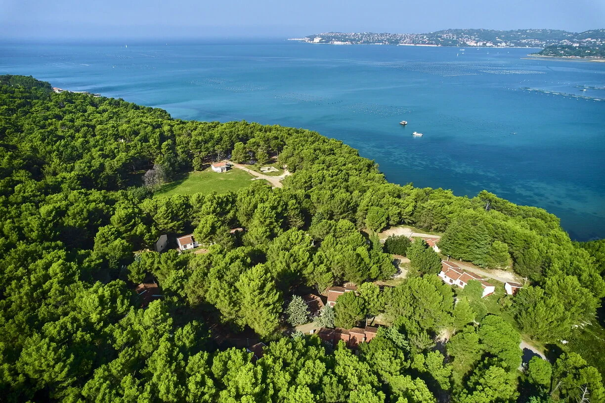 Apartments Kanegra Plava Laguna Umag – Umag, Croația