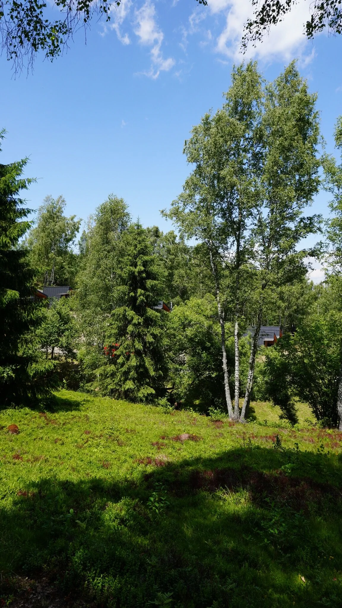 Krusta Panoramic Resort Râșca – Rişca, România