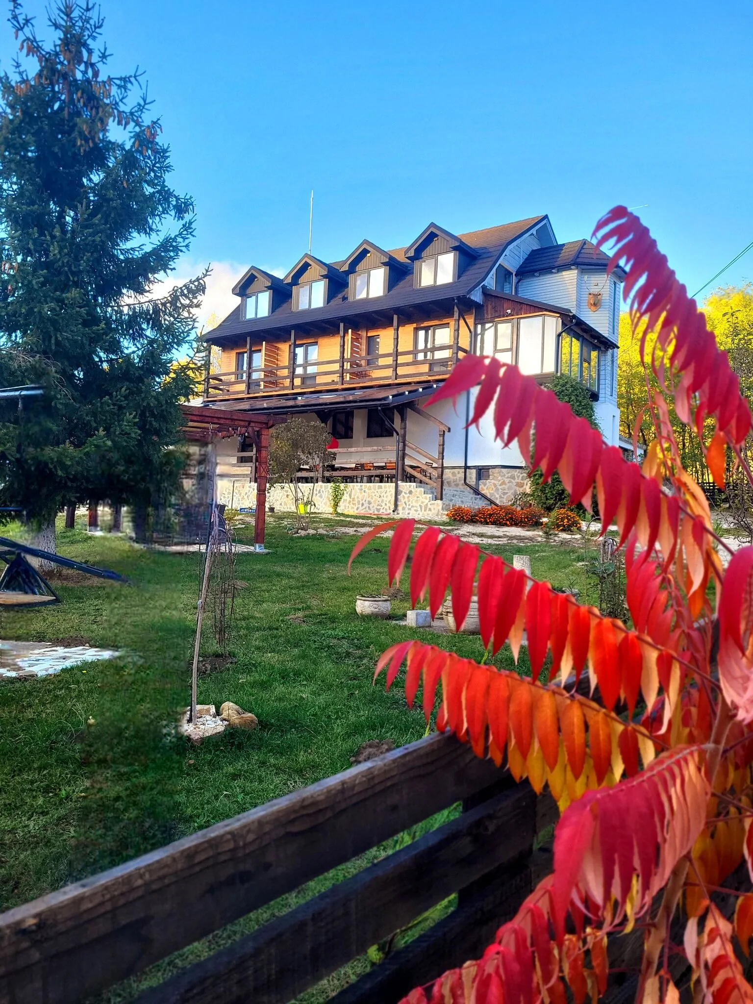 Pensiunea Plaiul Domnesc Runcu – Runcu, România