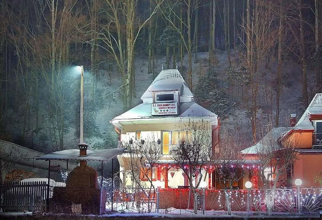 Casa Bamby Slănic-Moldova – Slănic-Moldova, România