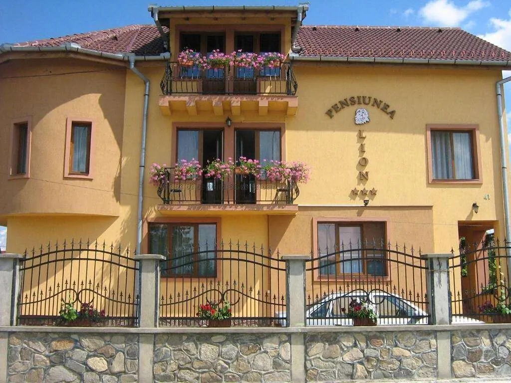 Pensiunea Lion Sibiu – Sybin, Rumunia