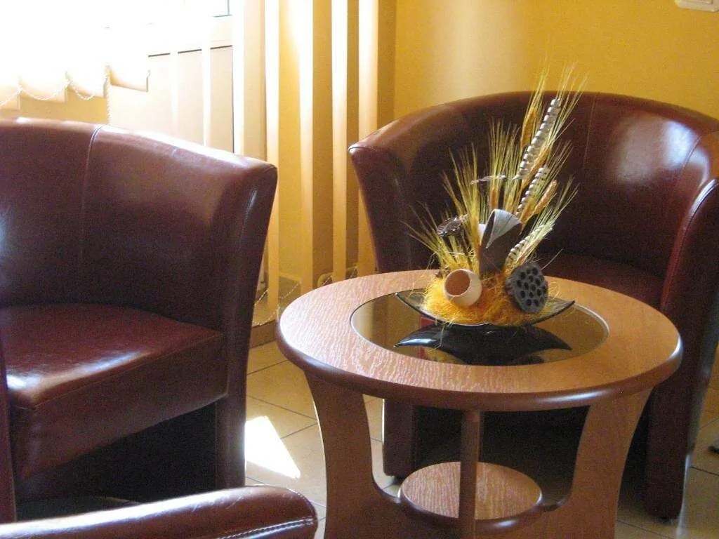 Pensiunea Lion Sibiu – Sybin, Rumunia
