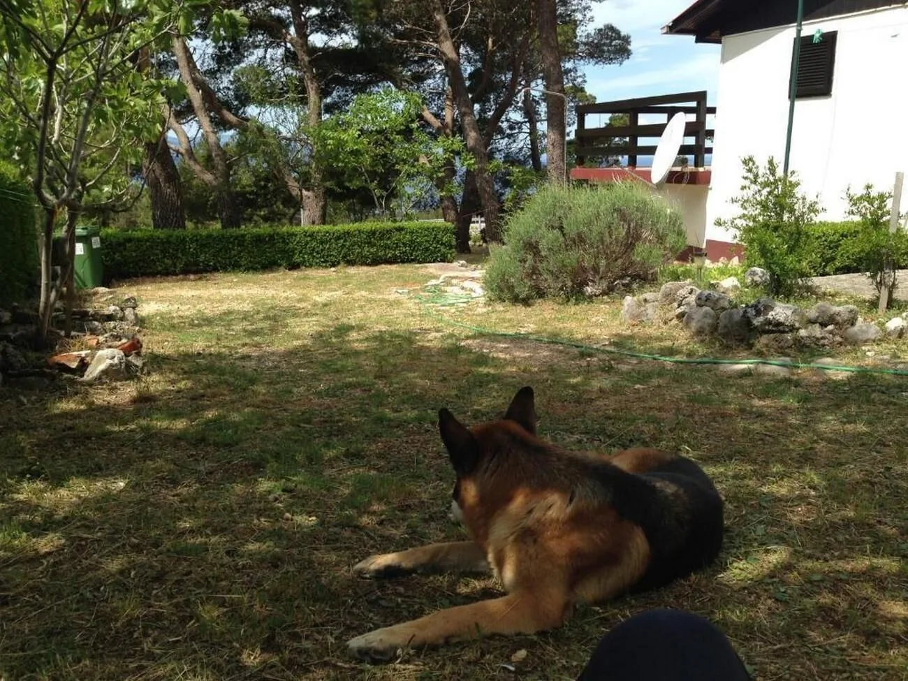Holiday House With A Parking Space Bast, Makarska - 23316 Bast - foto 2