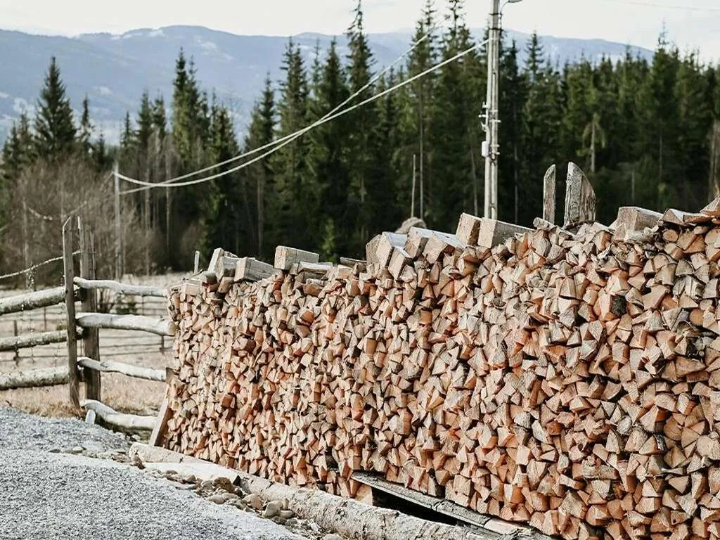 Yataku Dor Neagra Șarului – Neagra Șarului, România