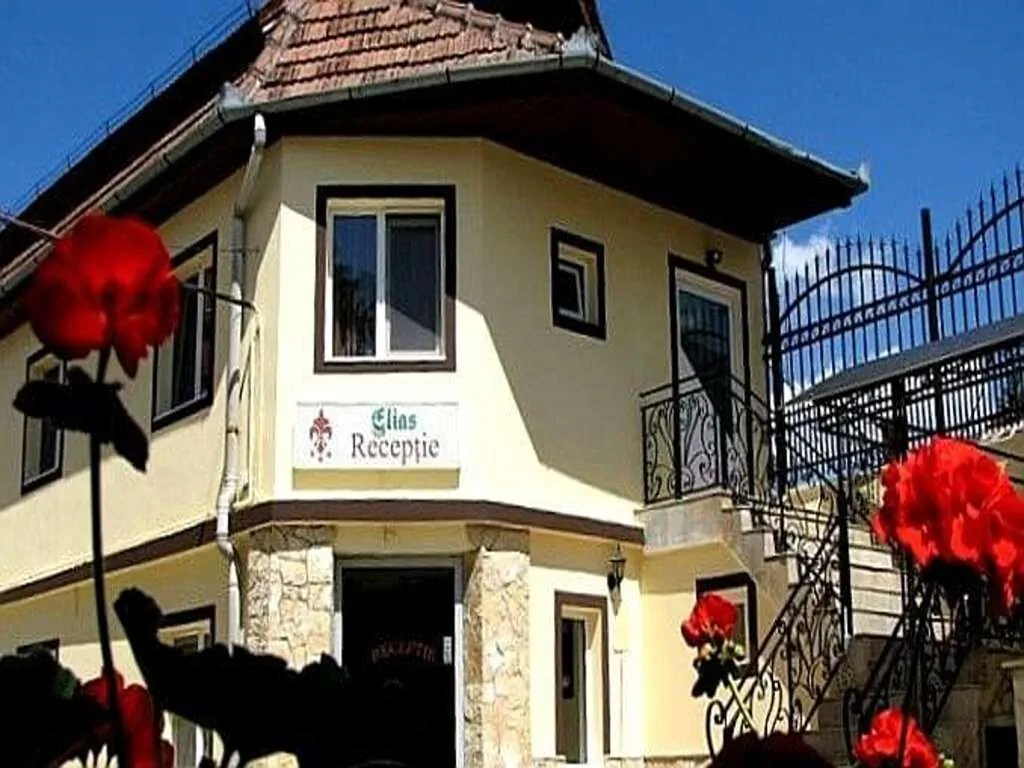 Pensiunea Elias Cluj-Napoca - foto 4