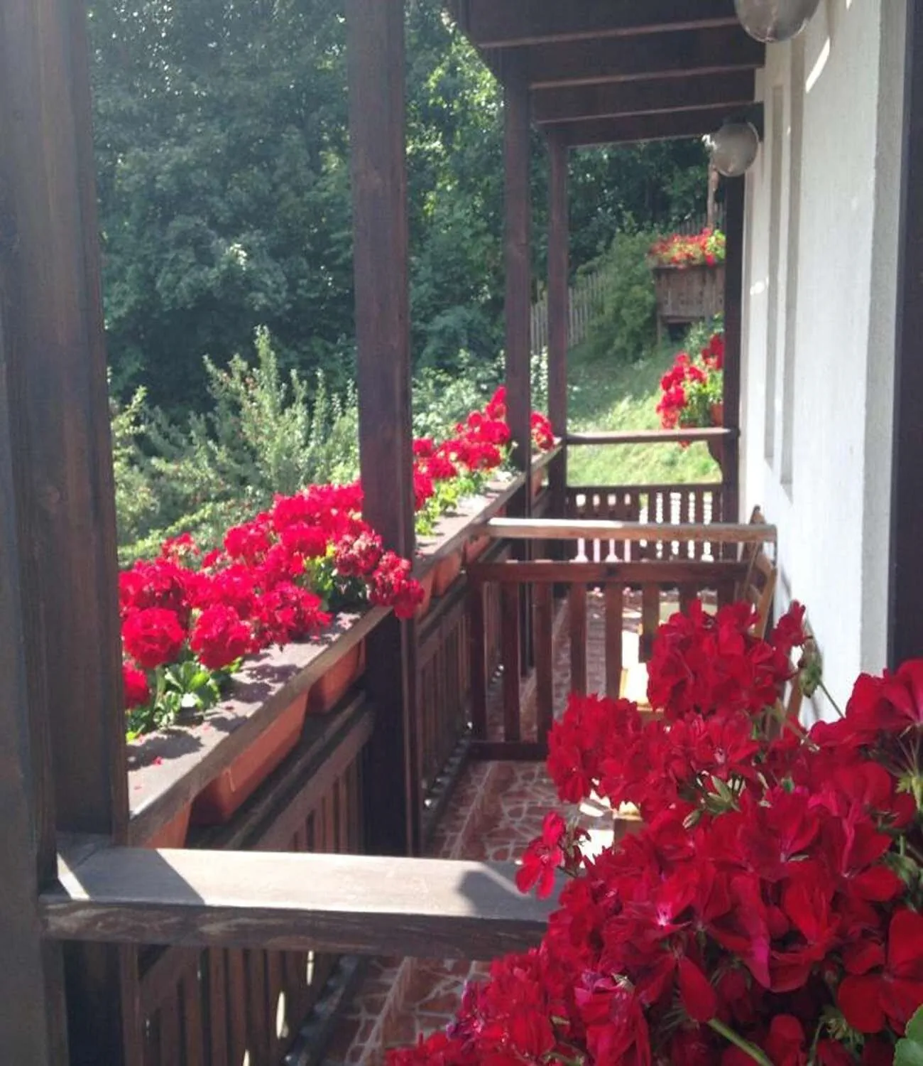 Vila Thomas Sinaia – Sinaia, România