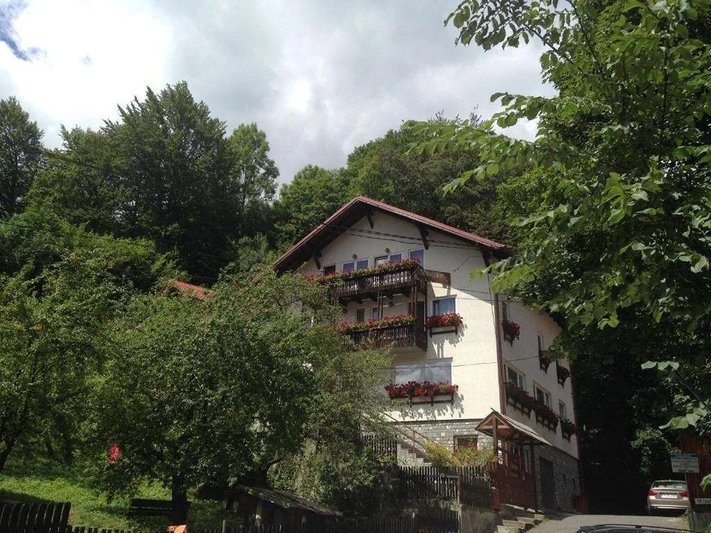 Vila Thomas Sinaia – Sinaia, România