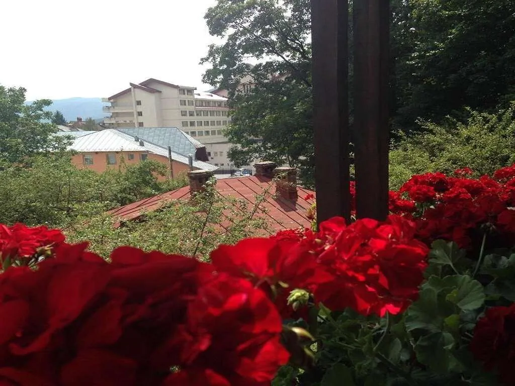 Vila Thomas Sinaia – Sinaia, România