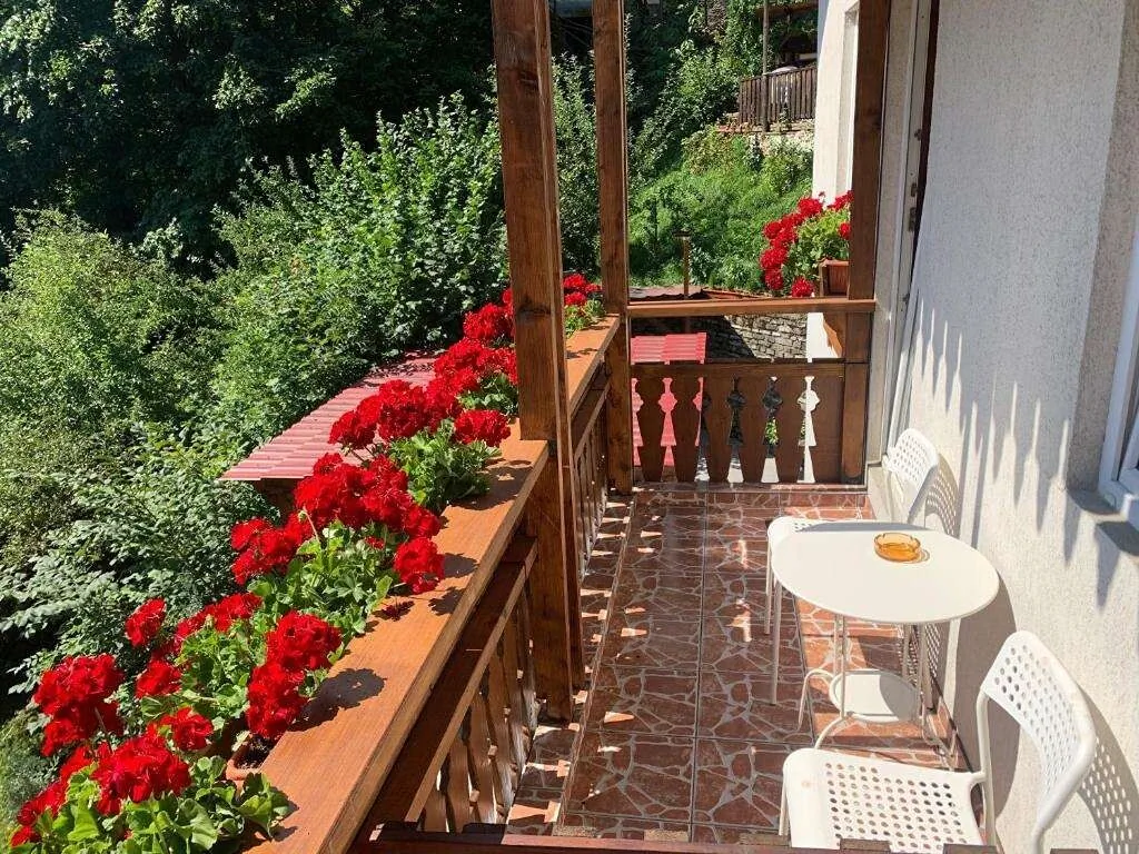 Vila Thomas Sinaia – Sinaia, România