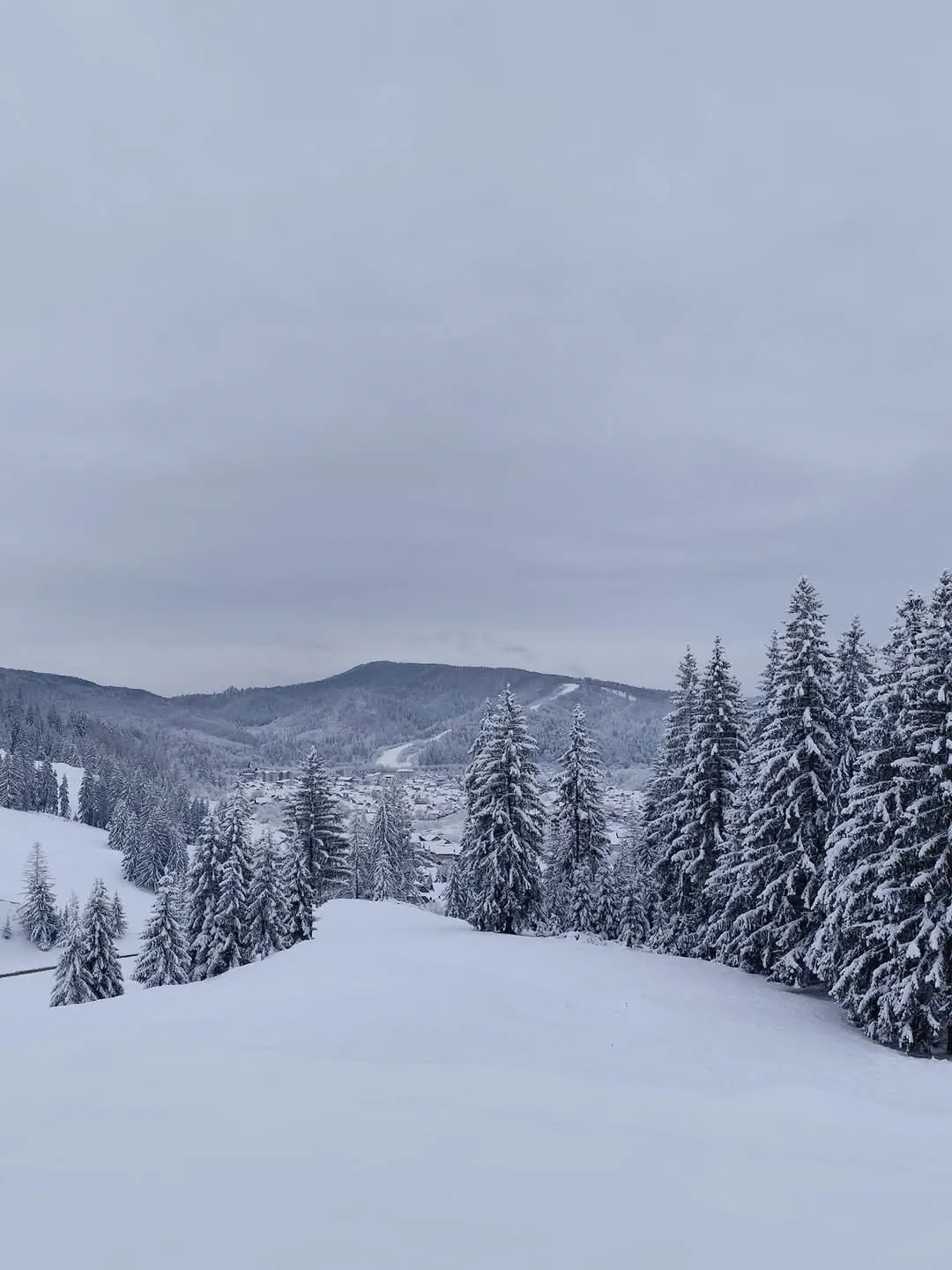 Casa Bucovina Sky View Gura Humorului – Gura Humorului, România