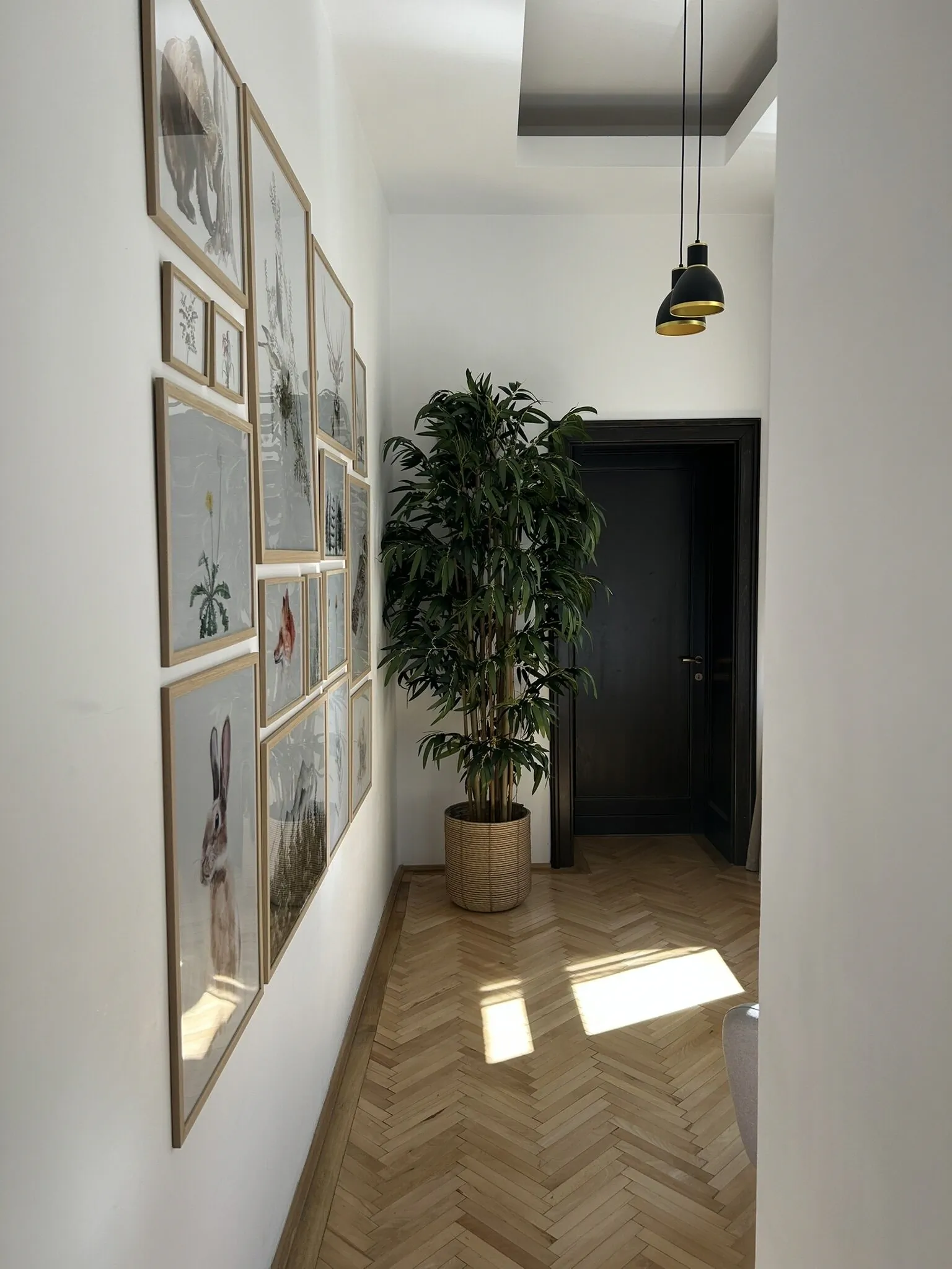 Apartament Nature Inspired Stay in Piata Sfatului Brașov - foto 1