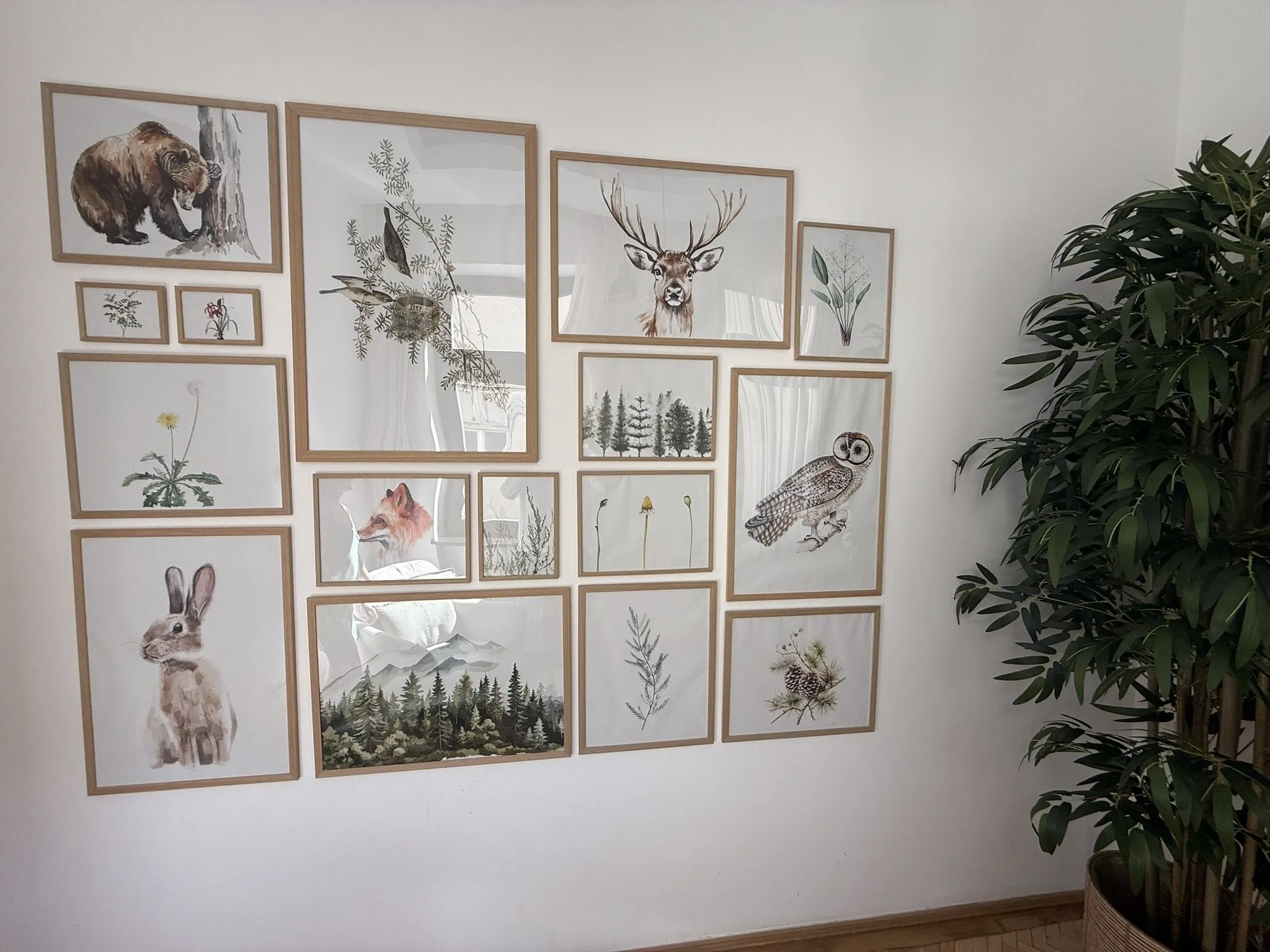 Apartament Nature Inspired Stay in Piata Sfatului Brașov - foto 6