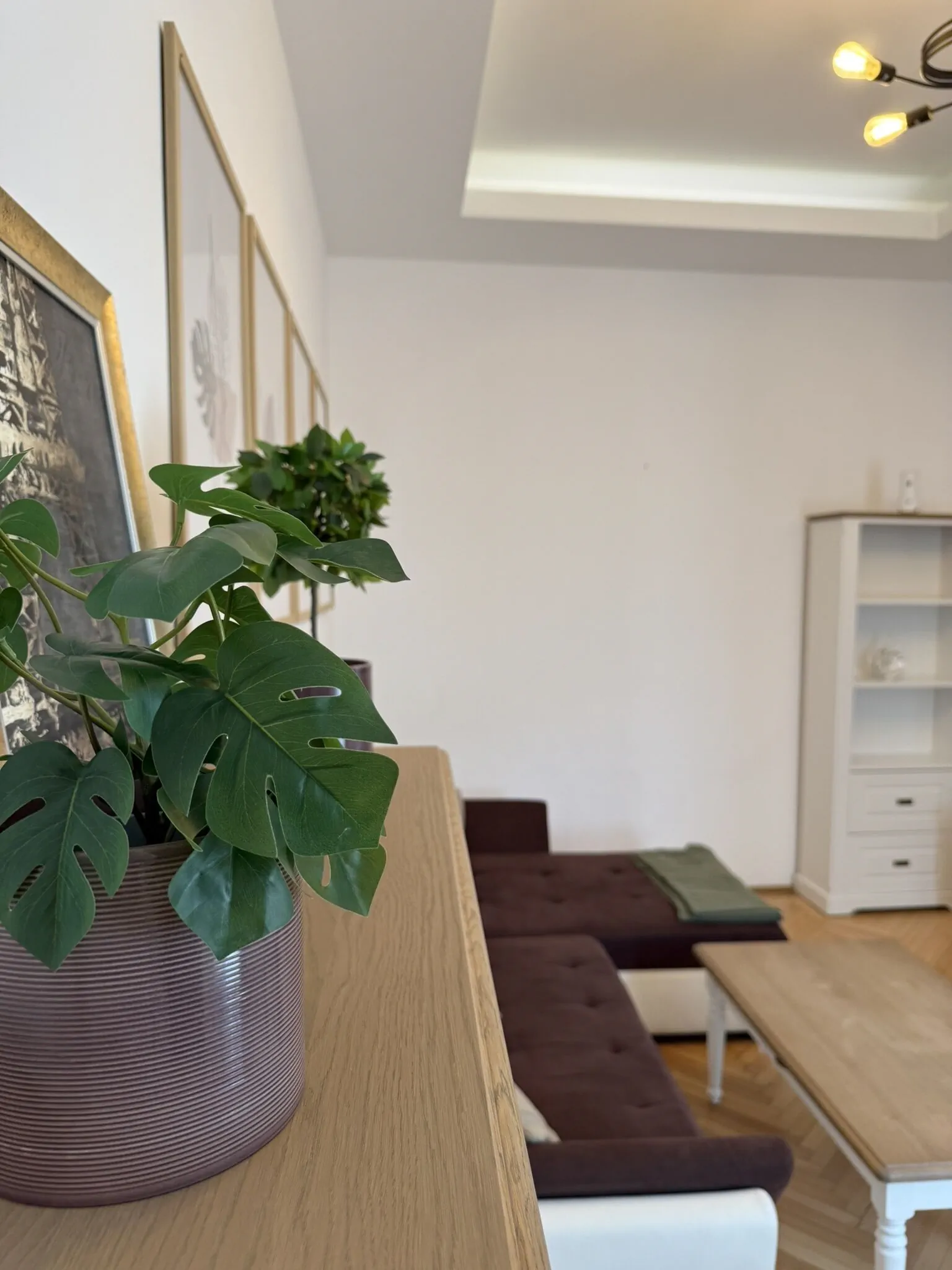 Apartament Nature Inspired Stay in Piata Sfatului Brașov - foto 10