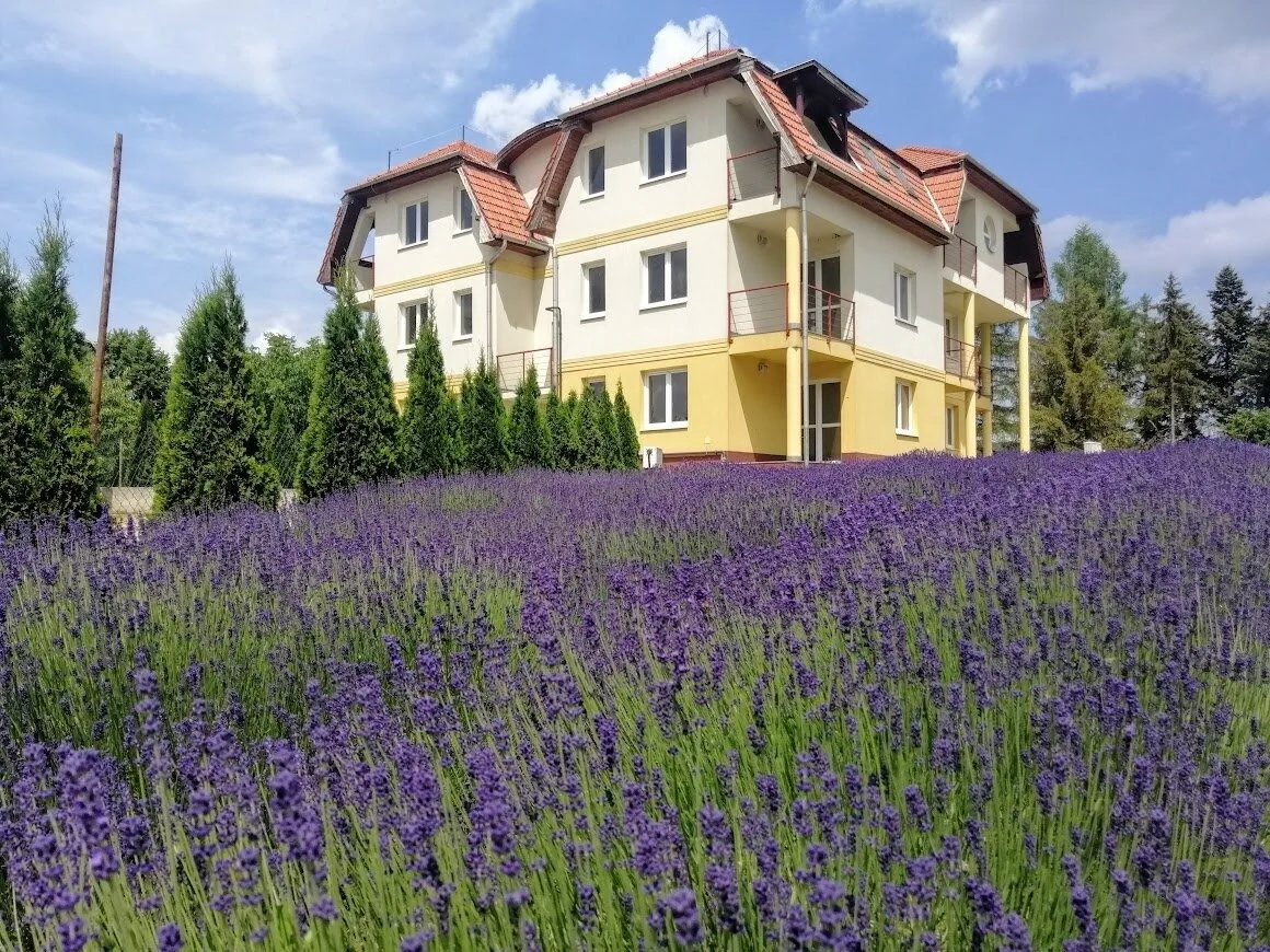 Oxigén Apartman2 Bükkszentkereszt – Bükkszentkereszt, Ungaria